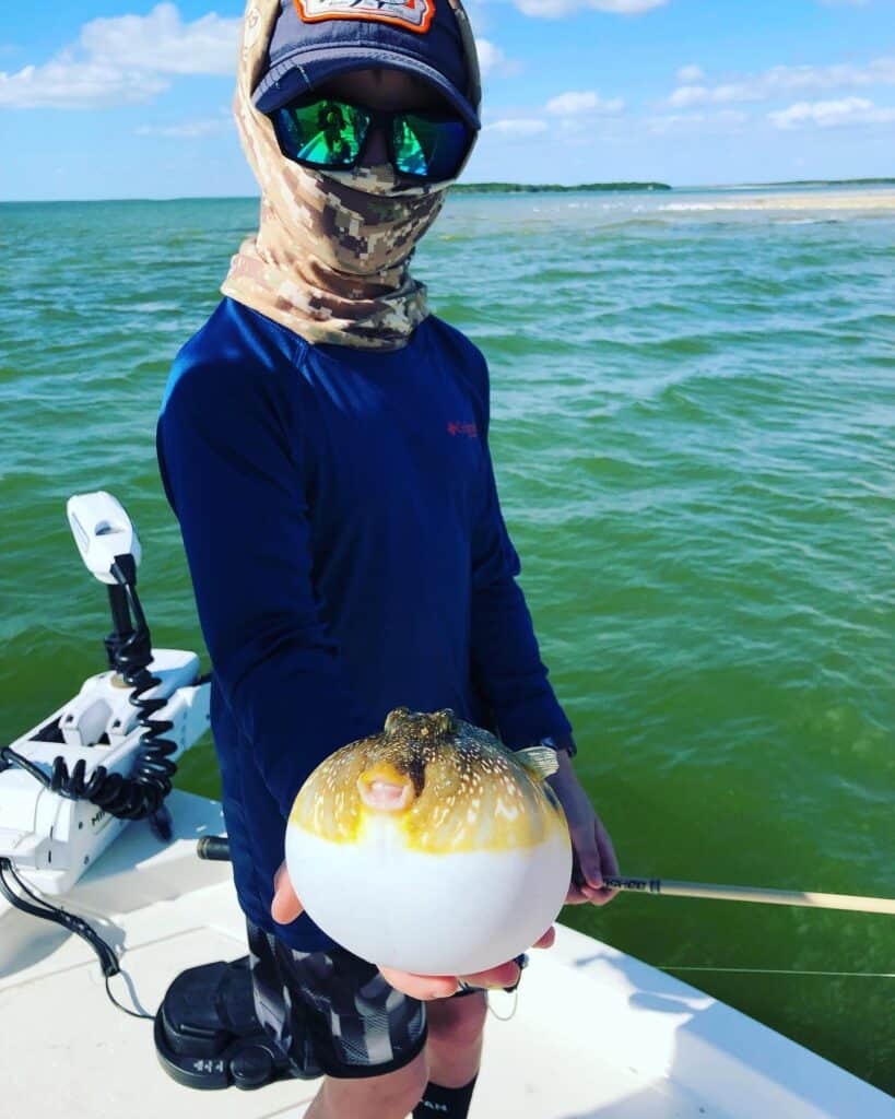 Blowfish, fishing charter, Fishing the Everglades