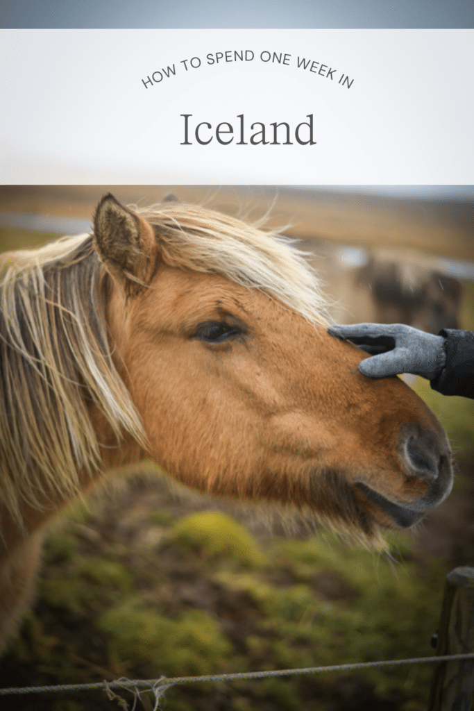 A guide to Iceland.