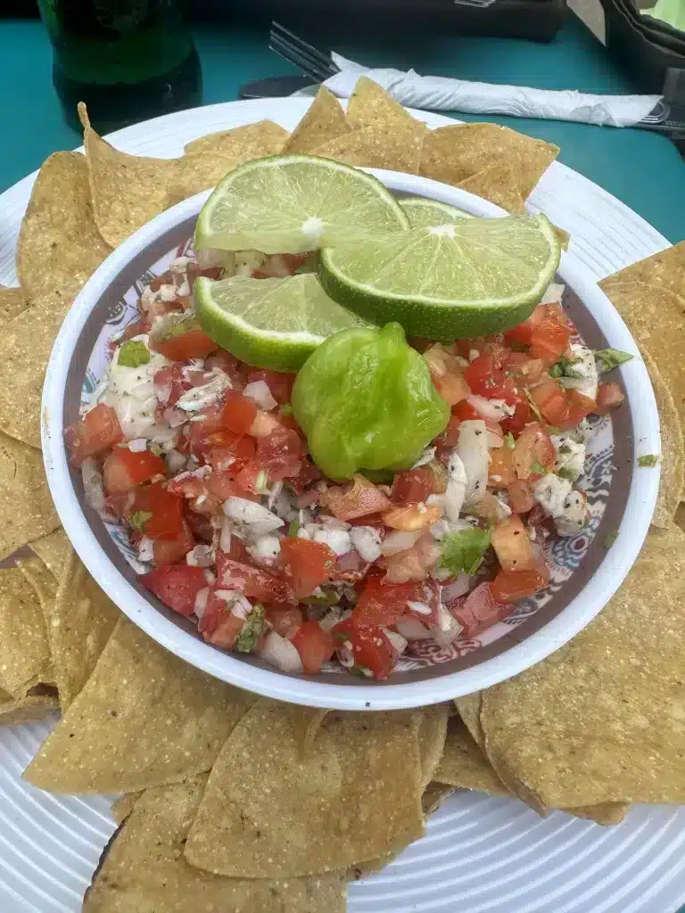 Ceviche