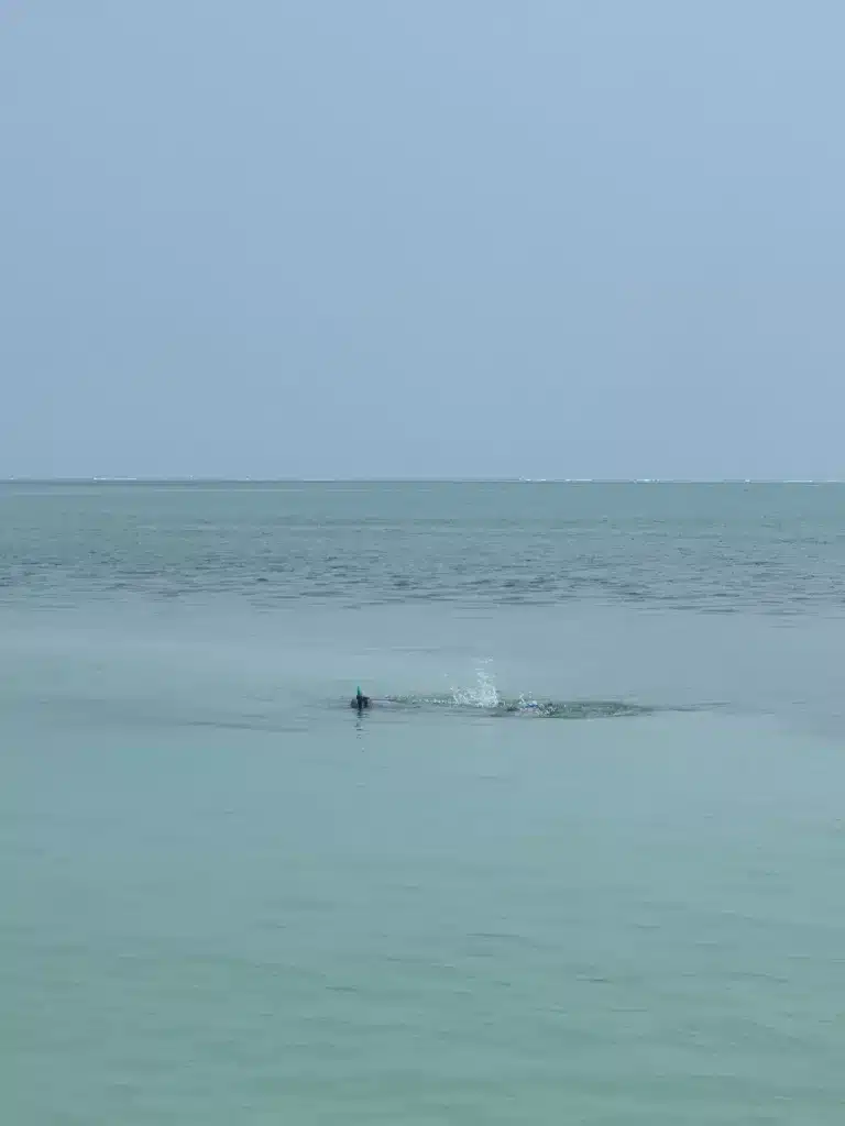 Swimming at The Split is a must for things to do on your itinerary for Caye Caulker, Belize