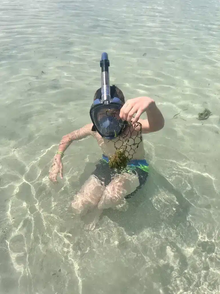 A snorkeling and fishing excursion is one of the fun things to do while on Caye Caulker or San Pedro, along with picking up garbage in our ocean's.