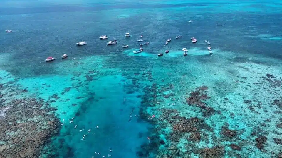 While spending one week in Belize with your family, make sure add snorkeling, to your itinerary.