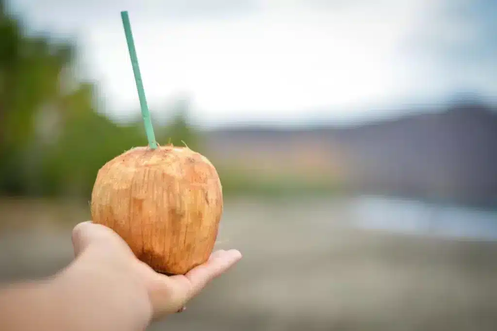 We stayed at an optional all-inclusive hotel in Costa Rica and when you are walking the beach, take advantage of the fresh coconut drinks.