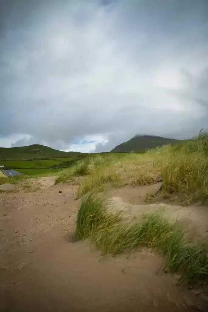 If you're wondering where to visit in Ireland, Dingle is not to be skipped. 