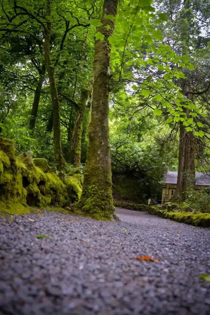 Scenery at Kylemore Abbey, a castle in Ireland. 