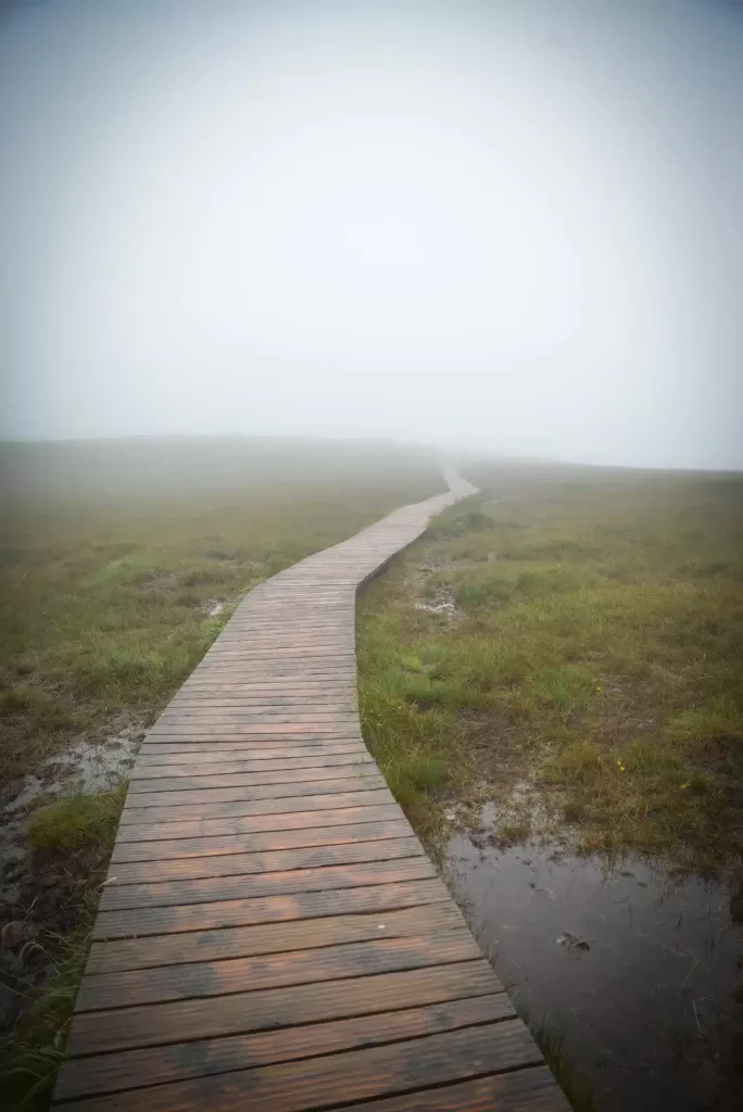 One thing we love to do in Ireland is explore Connemara National Park. 