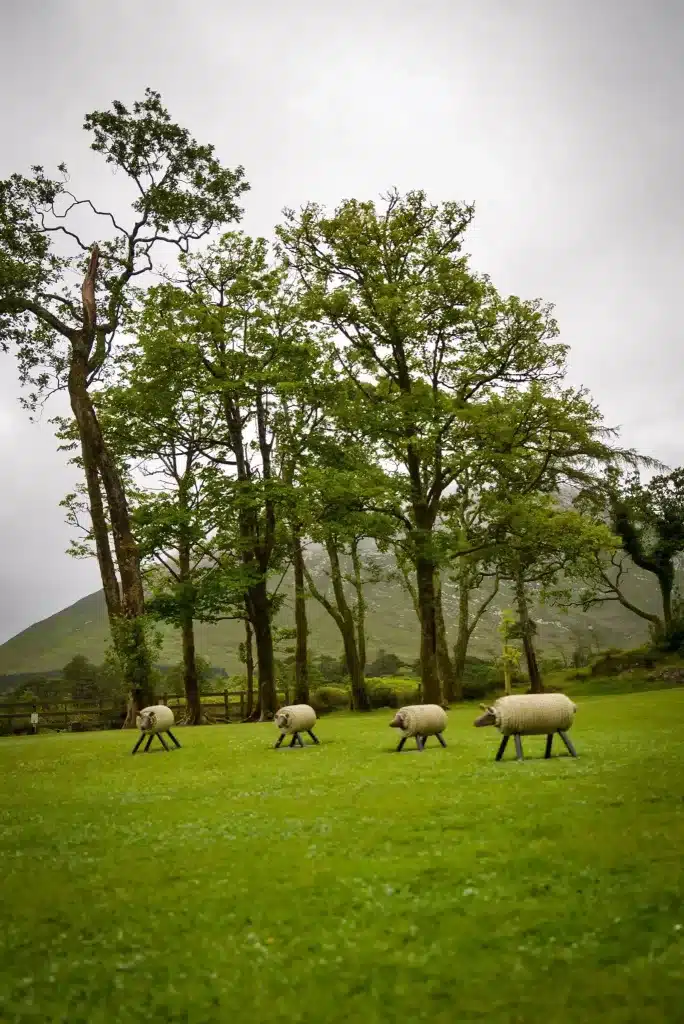 Fake sheep at Kylemore Abbey.