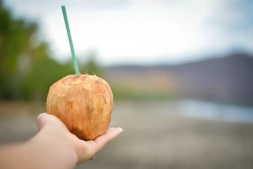 Sip out of a coconut on the beach in Costa Rica. 