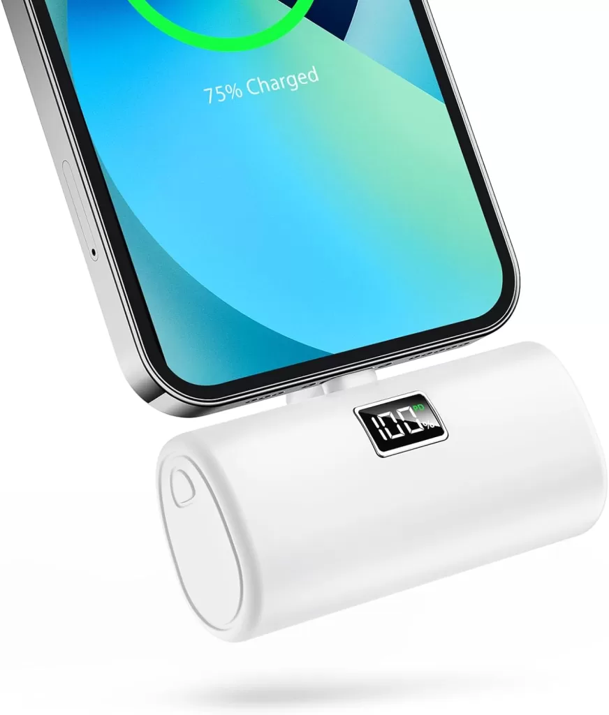 A portable charger could come in handy if your phone dies while traveling. 