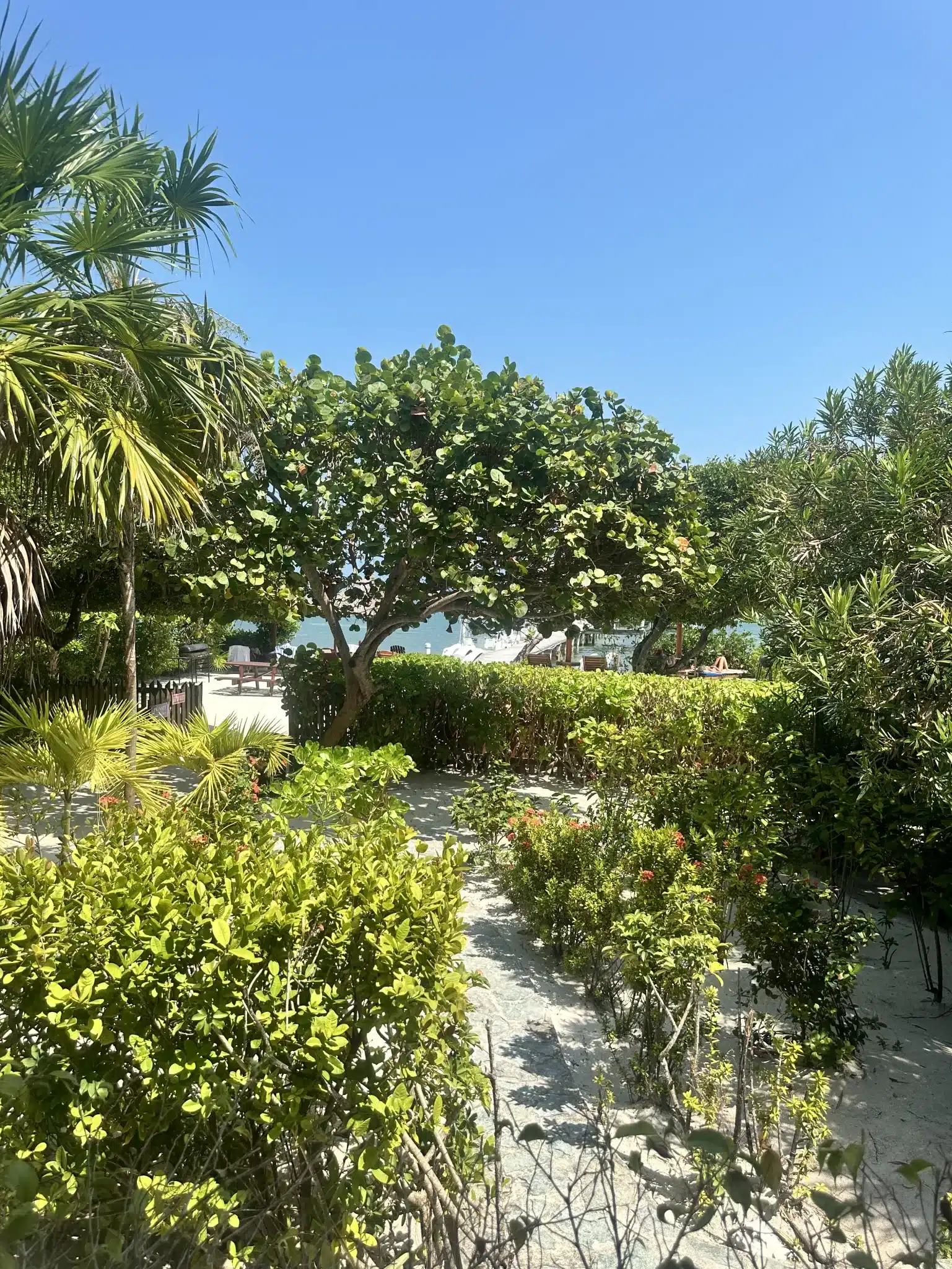 A view from our oceanfront Belize home rental.