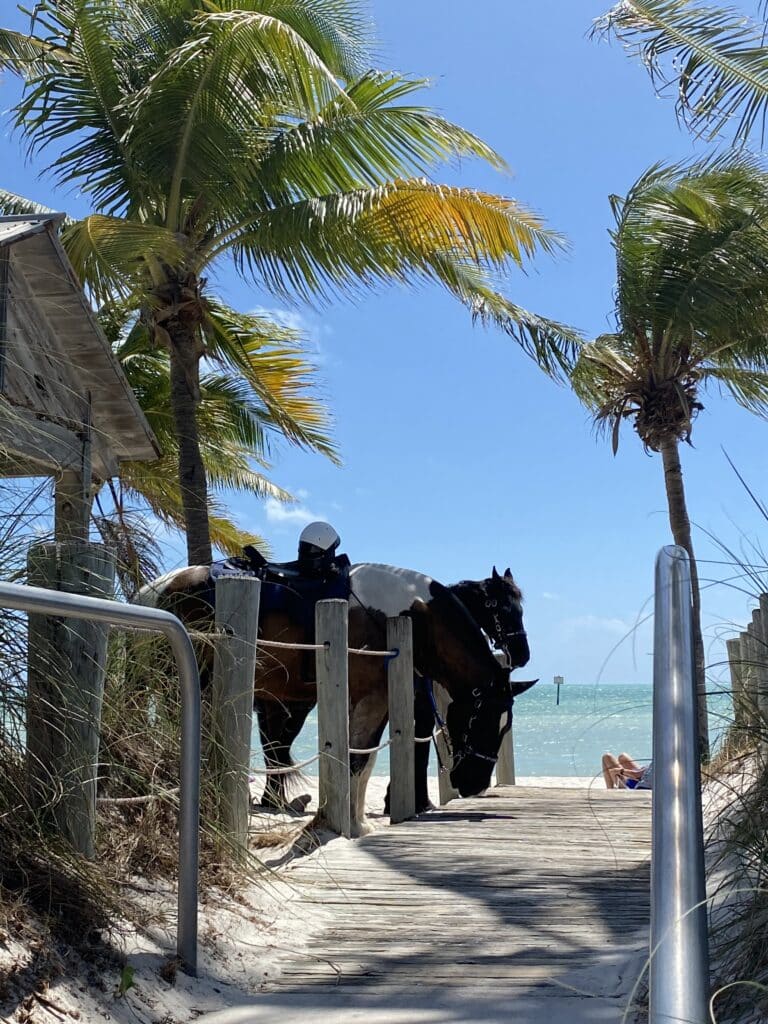 The Keys beaches are the best for vacations and don't forget add a couple swimsuits to your packing list.