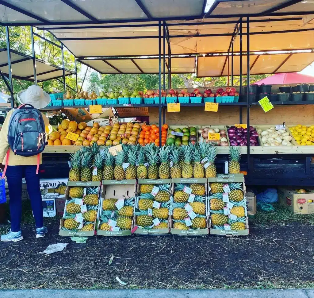 The farmer's market on Marco Island is one of my favorite things to do when we go in February.