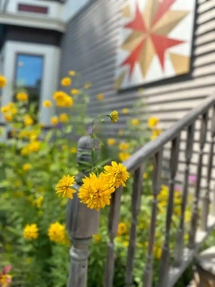 Flowers at a coffee shop.