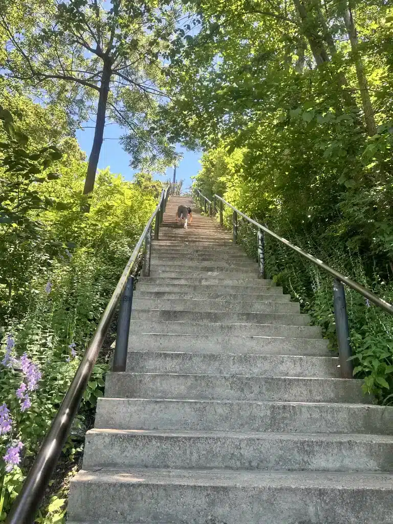 The iconic steps of Stillwater. 