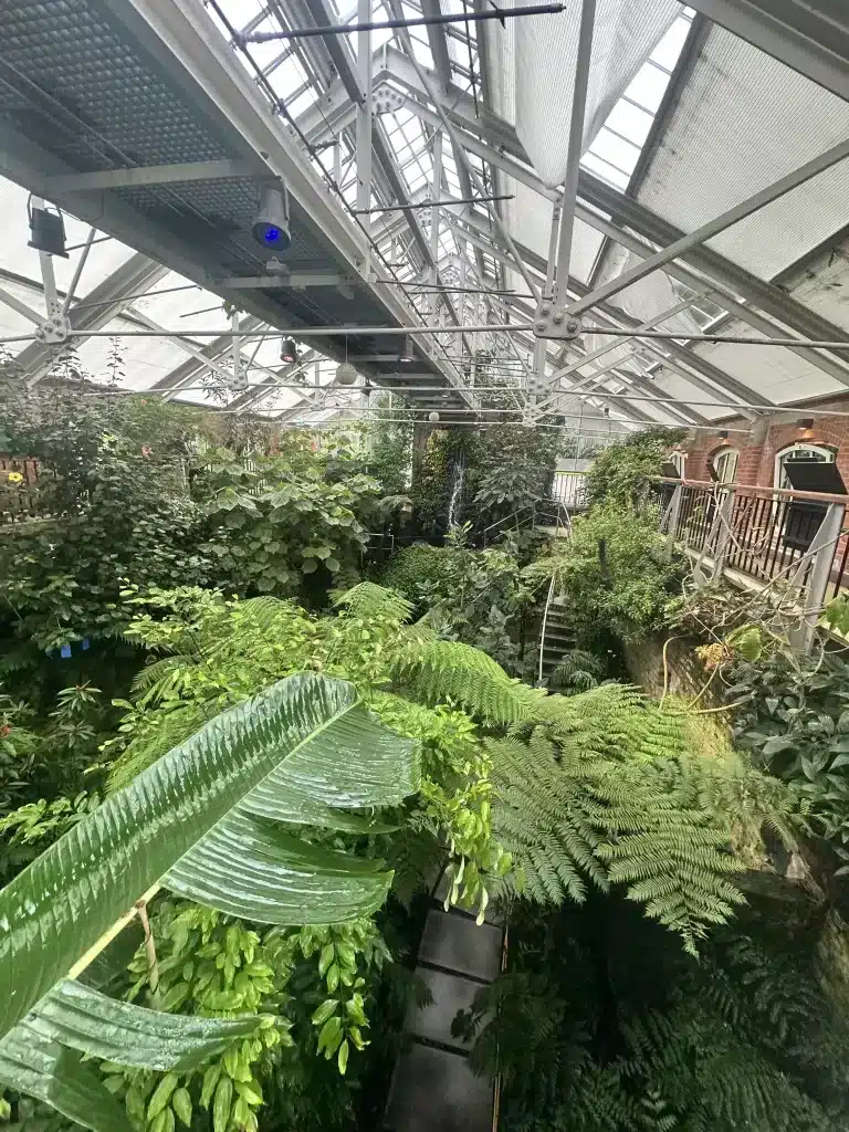 We toured Belfast, UK without a car and took the hop on hop off bus to the Botanic Garden. 