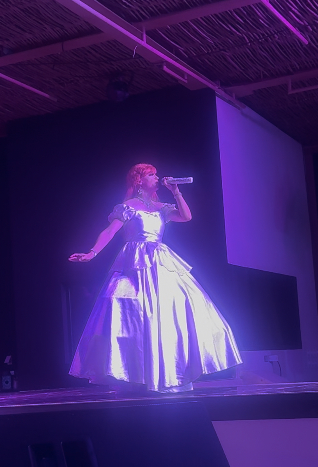 The Greatest Showman entertainment at Tortugas Terrace which has some great seafood at the resort, Villa Del Palmar, in Cabo. 