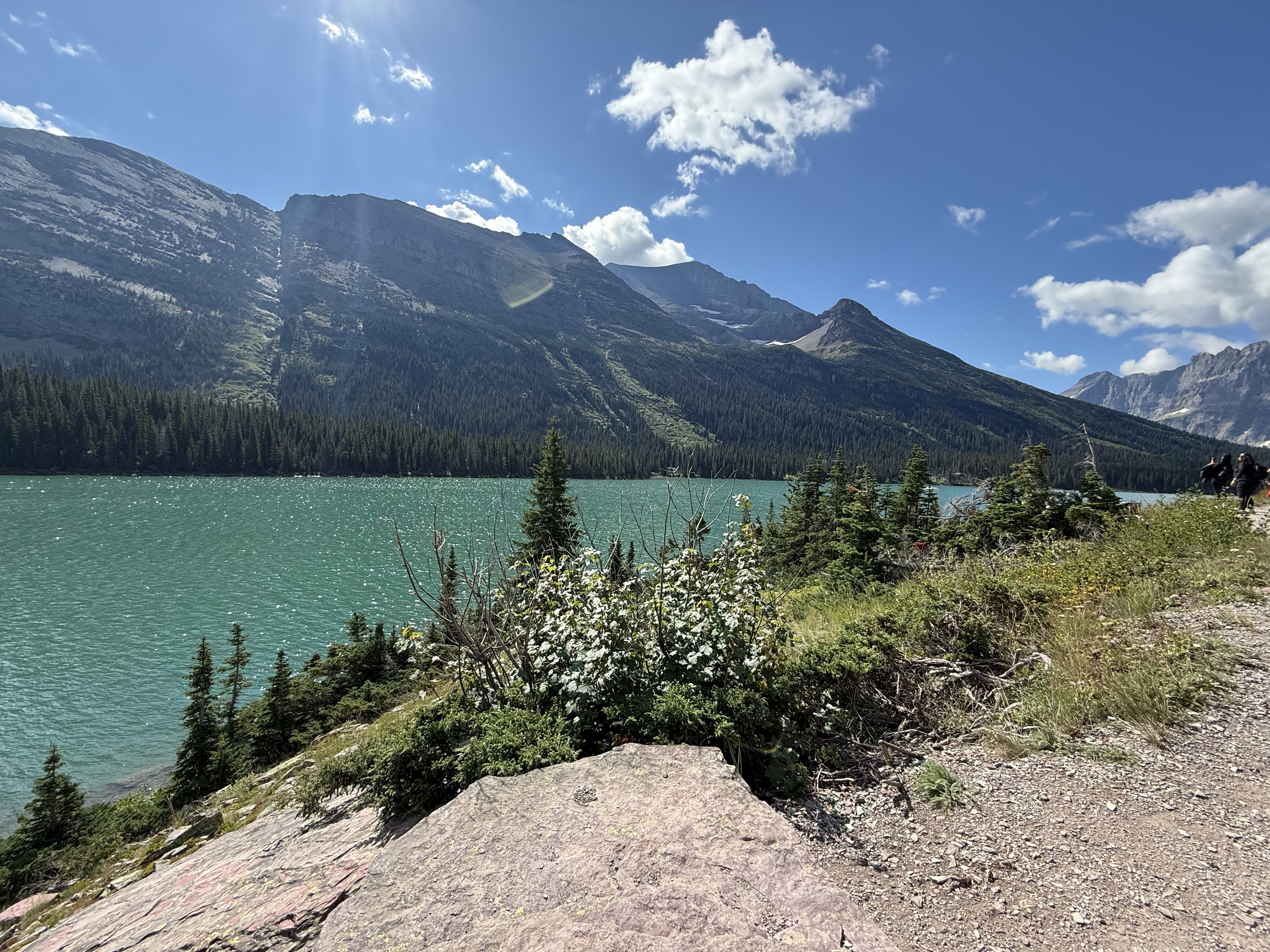 My favorite hiking on our road trip to Glacier National Park was at Many Glacier.