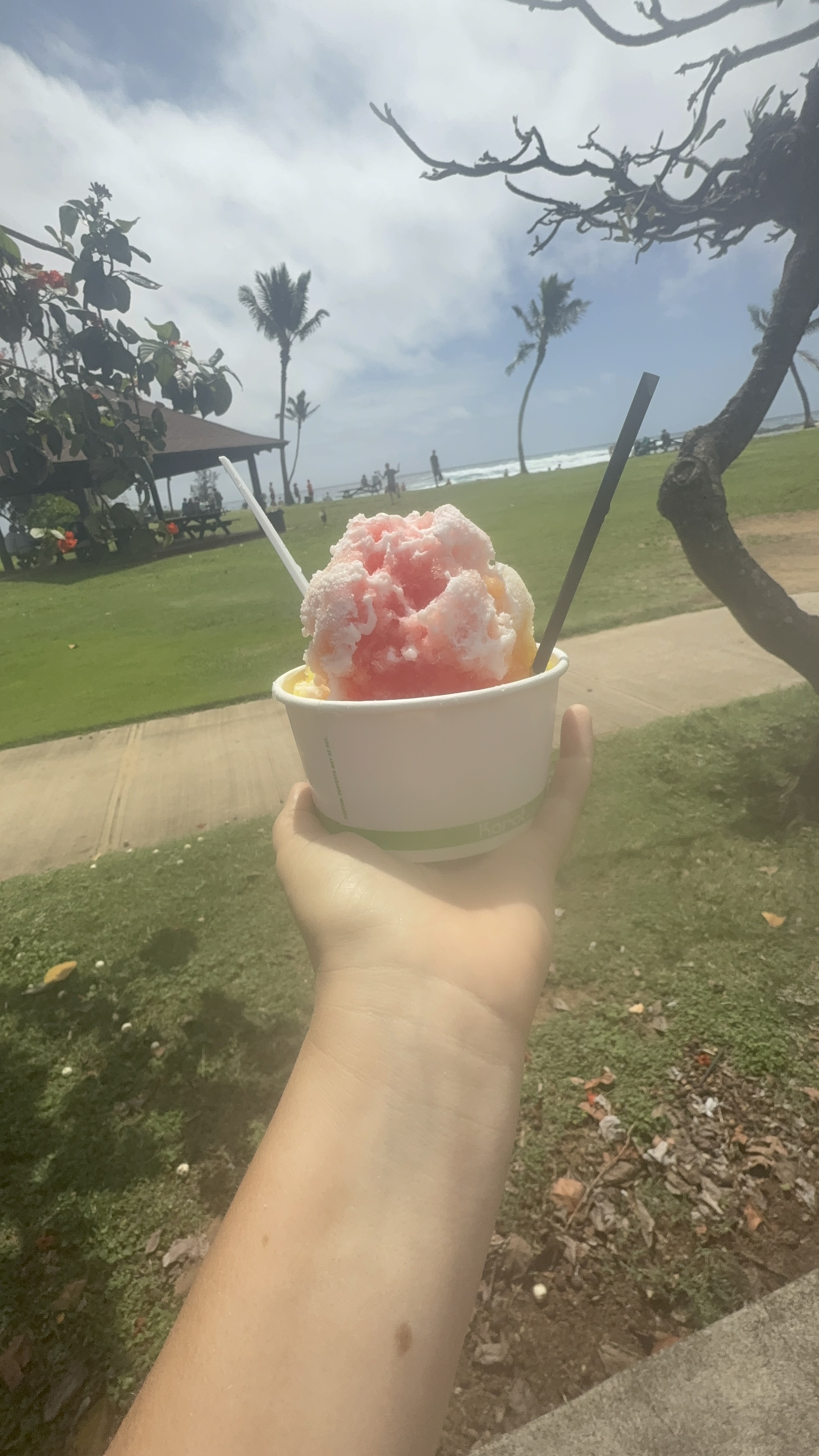 Trying shave ice is one of the things to do in Kauai in a week.